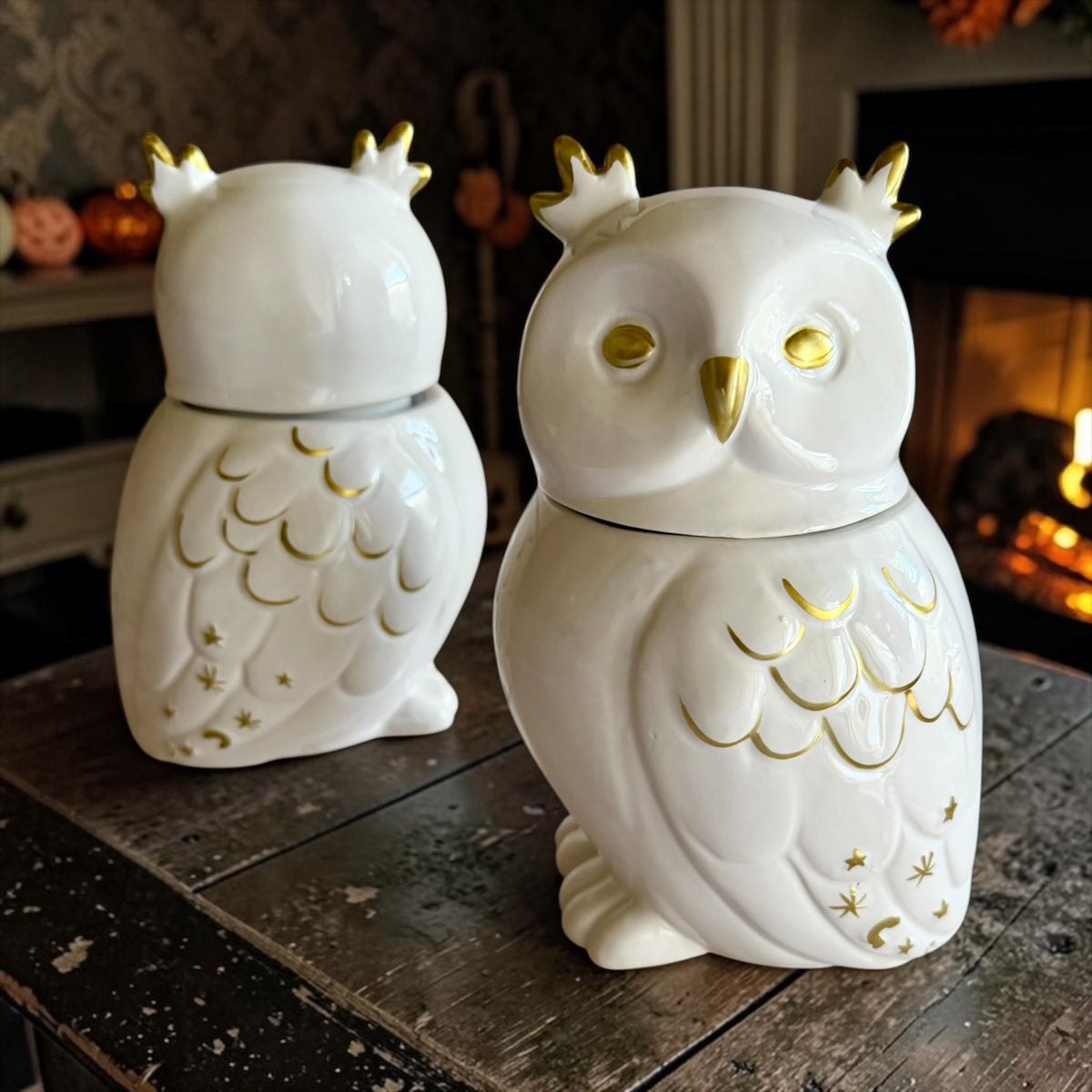 XL Owl with lid