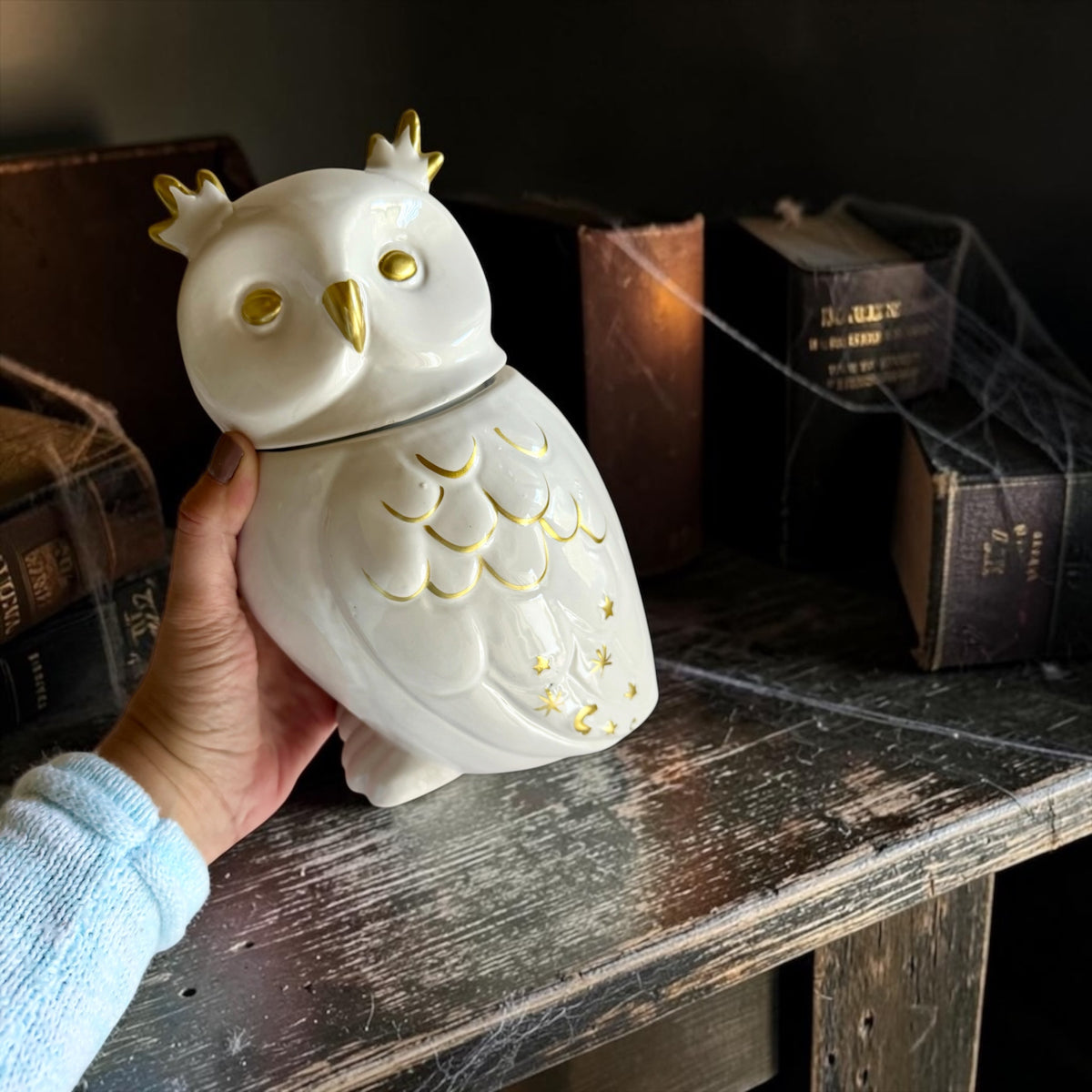 XL Owl with lid
