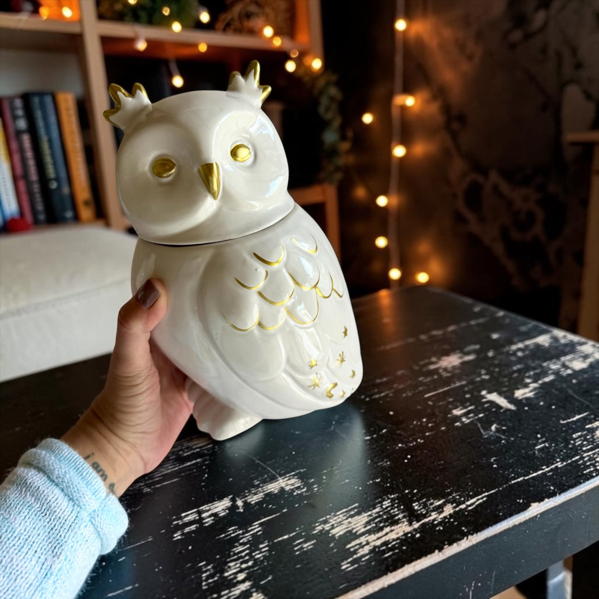 XL Owl with lid