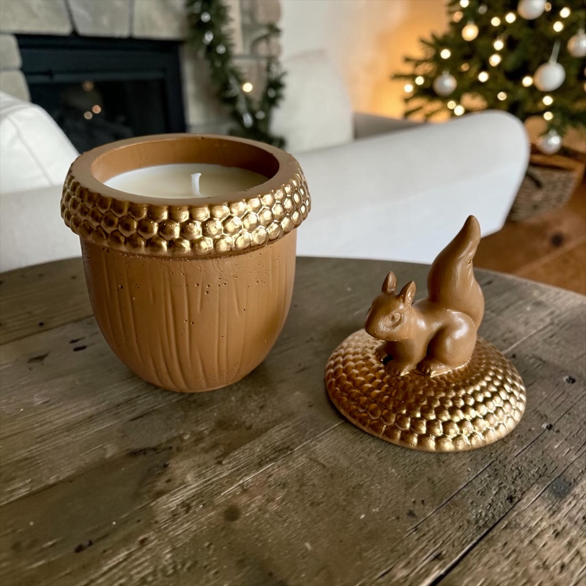 Squirrel on an acorn