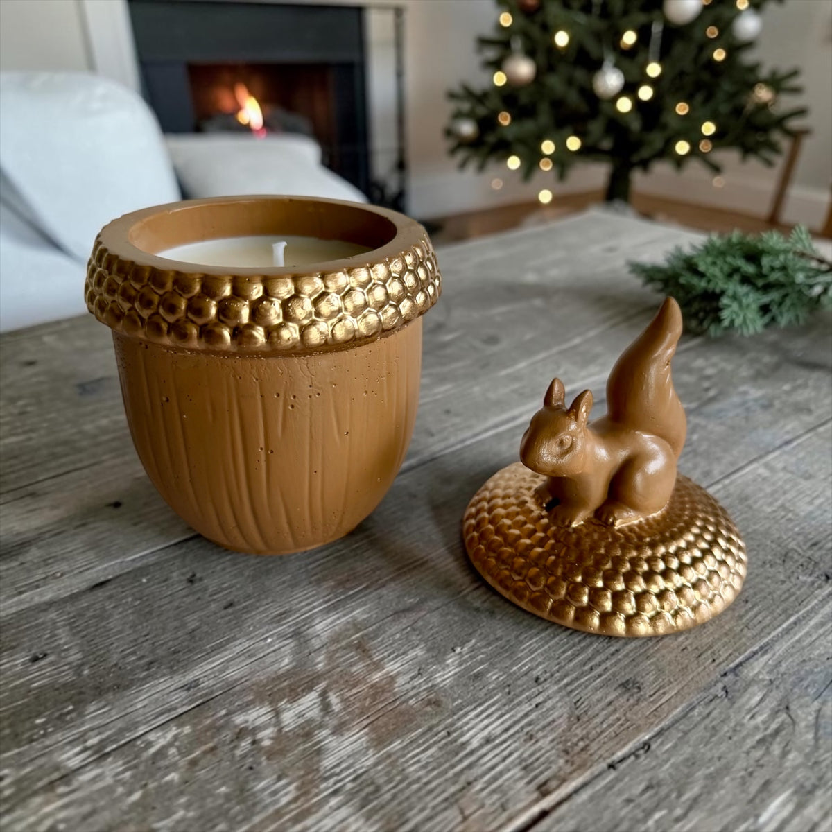 Squirrel on an acorn