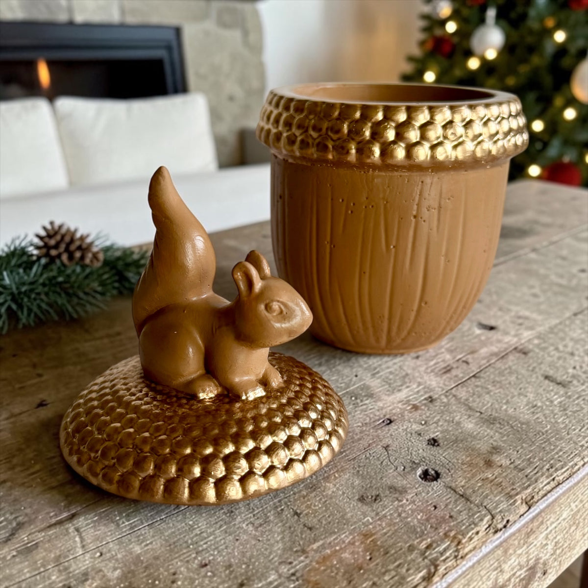 Squirrel on an acorn