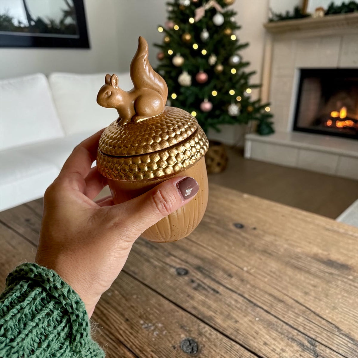 Squirrel on an acorn