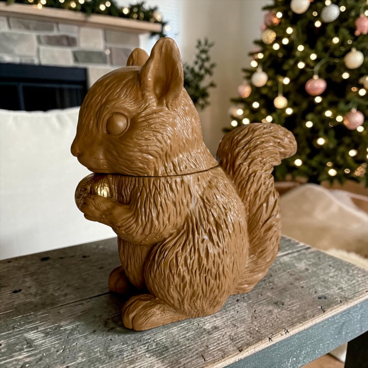 Squirrel