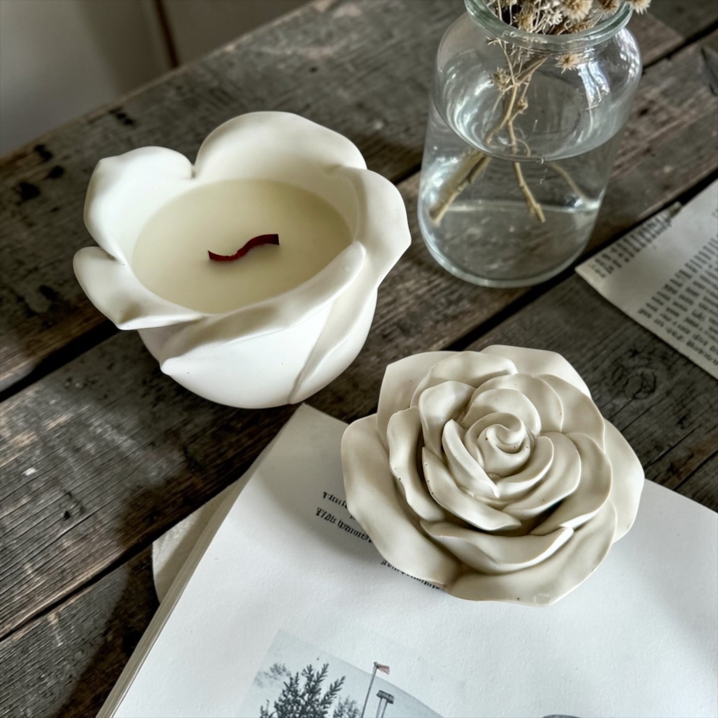 Blooming rose