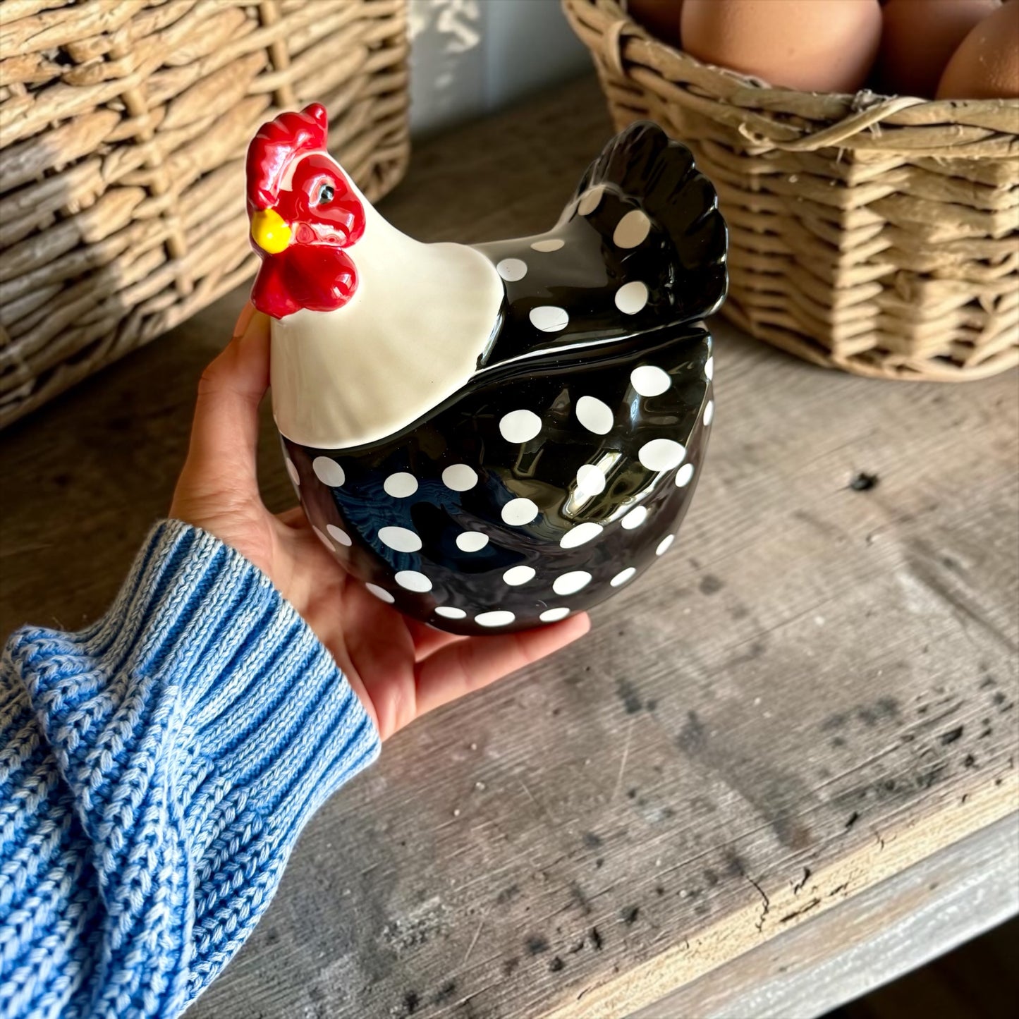 Farmhouse chicken with lid