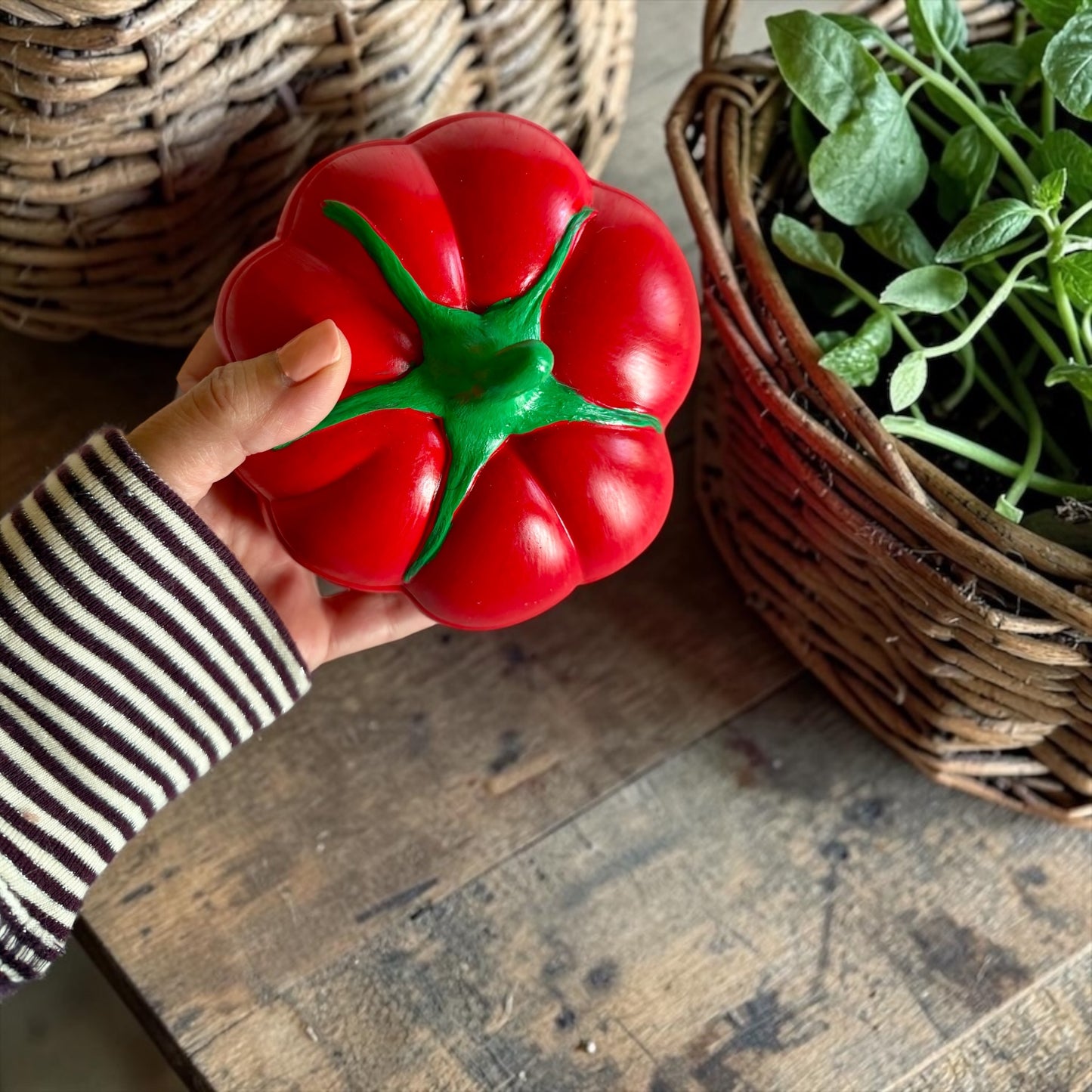 Tomato with lid (large size)