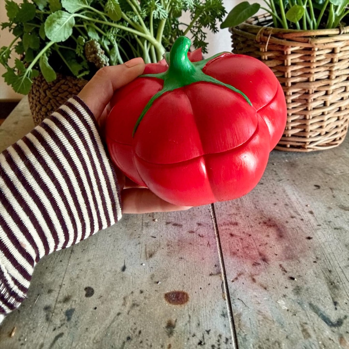 Tomato with lid (large size)