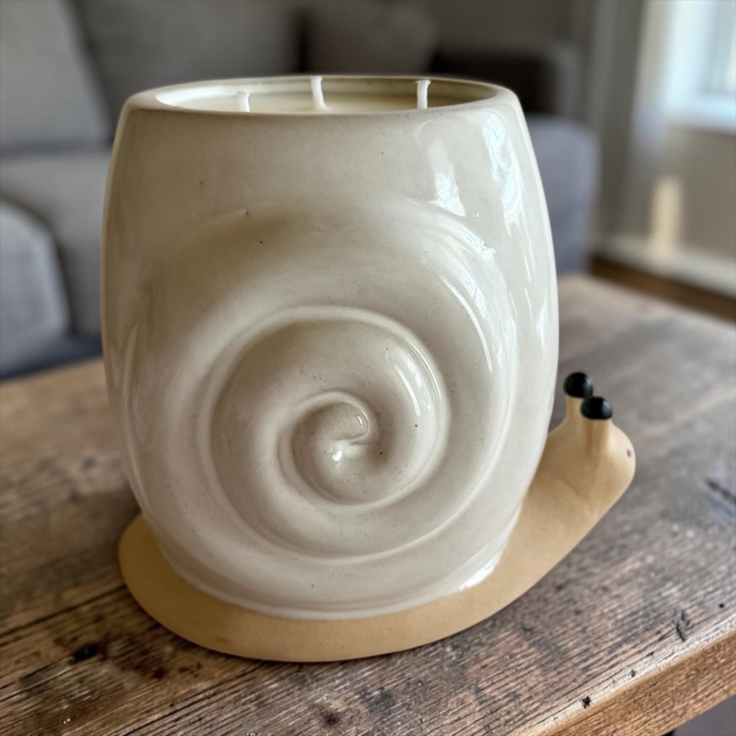 Cute XL Snail
