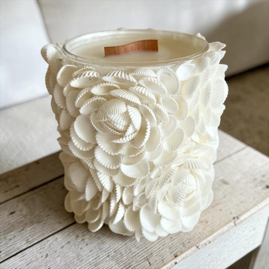 Shells and roses