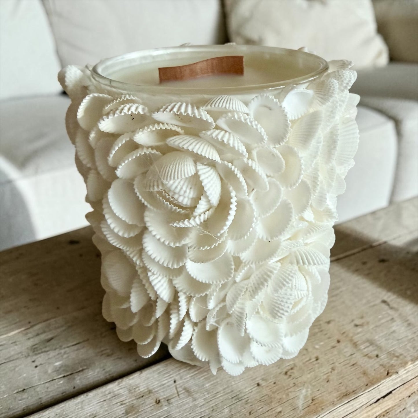 Shells and roses