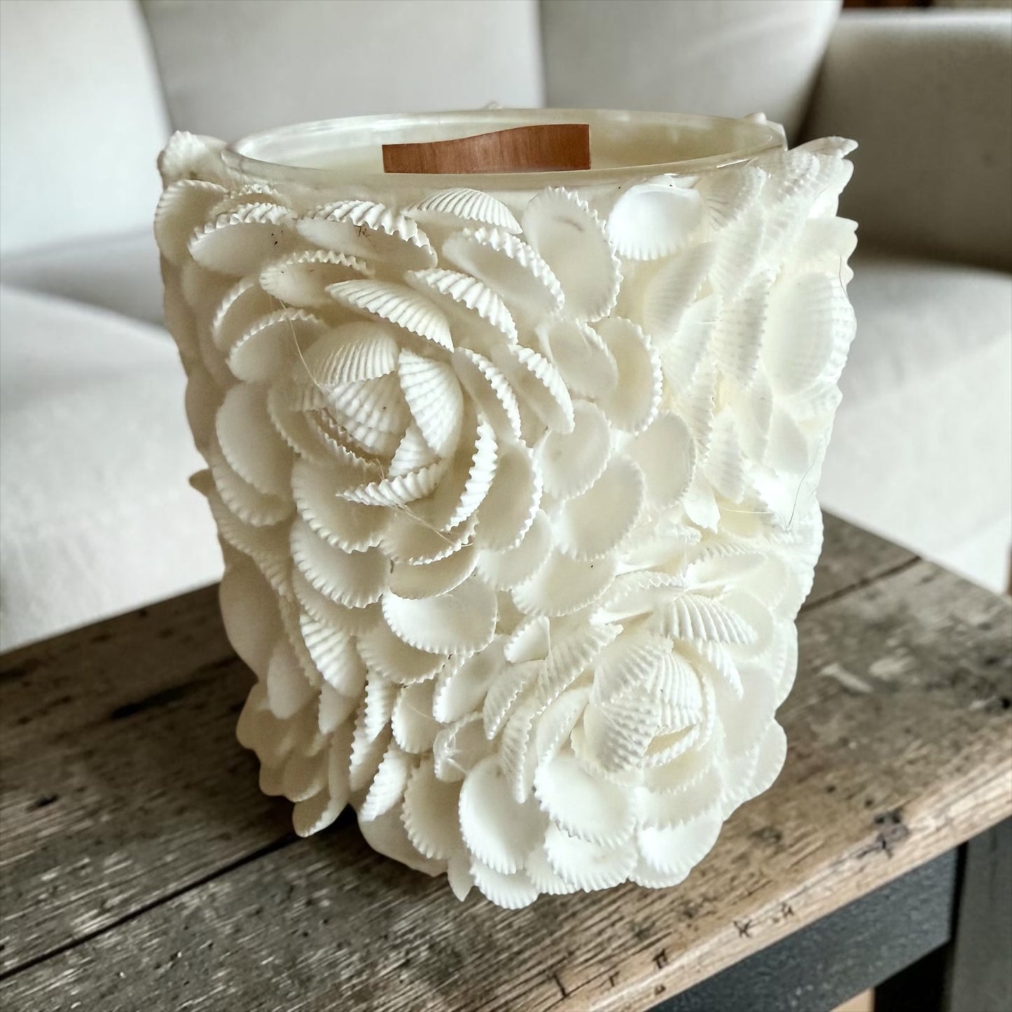 Shells and roses