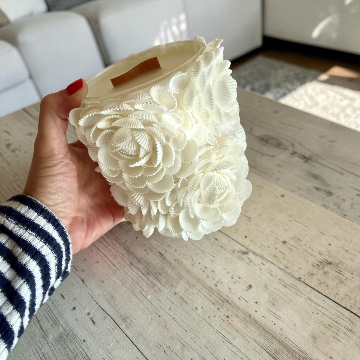 Shells and roses