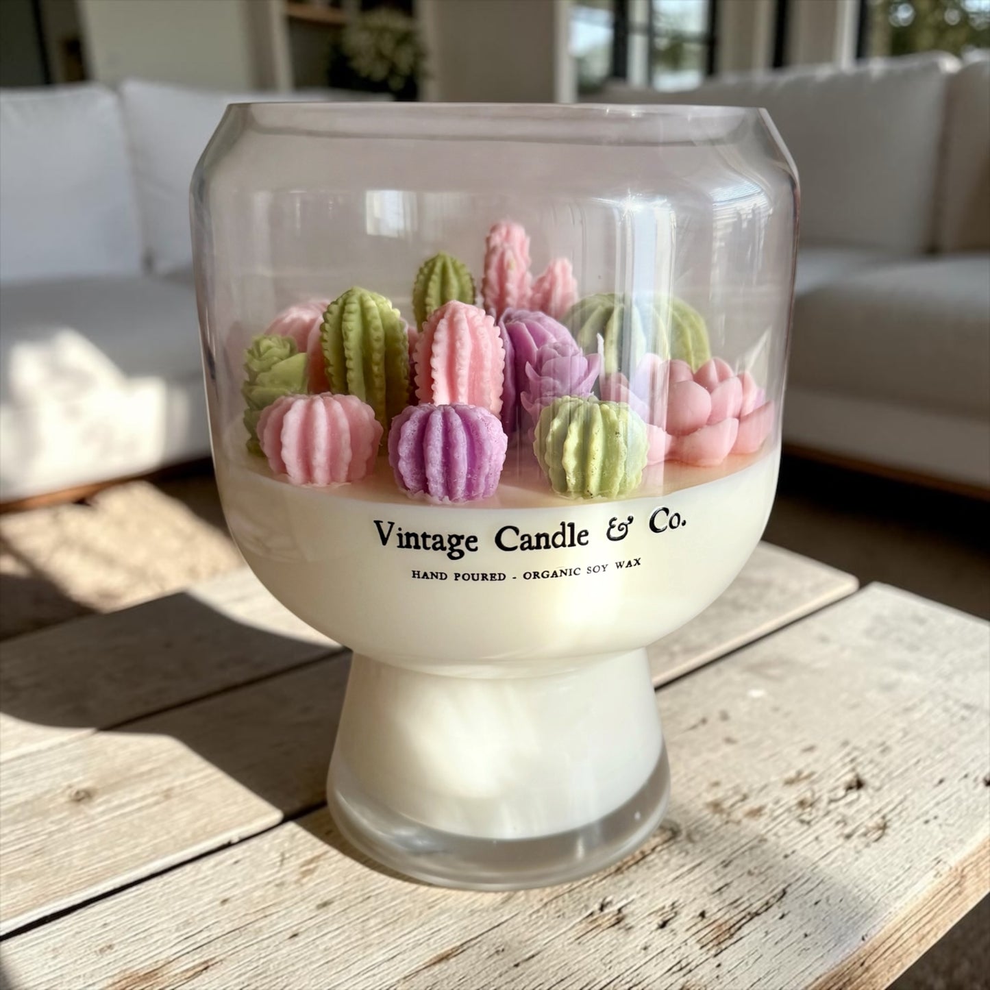 XXL Summer cactus garden