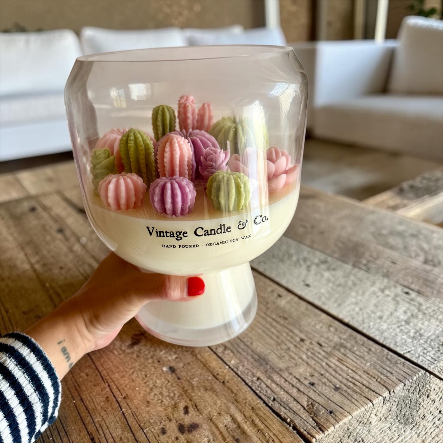 XXL Summer cactus garden