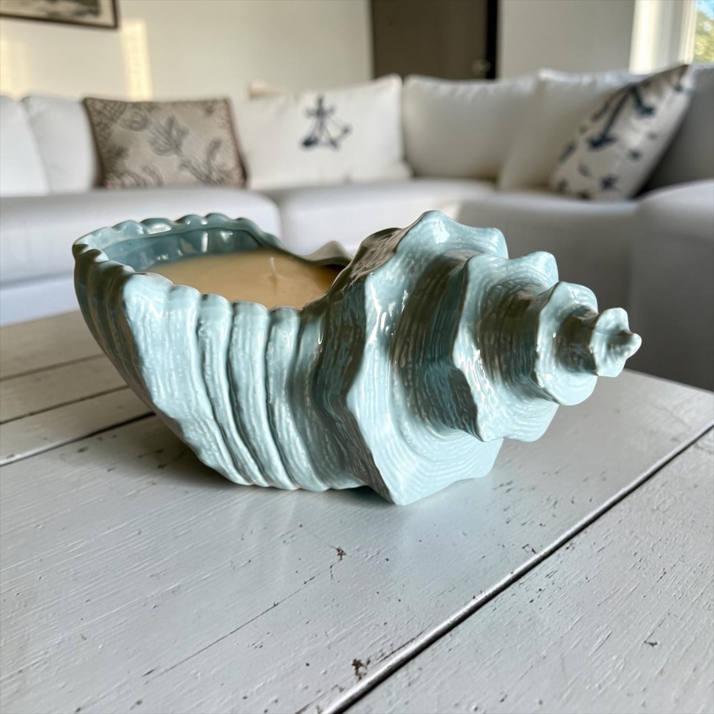XL Coastal shell